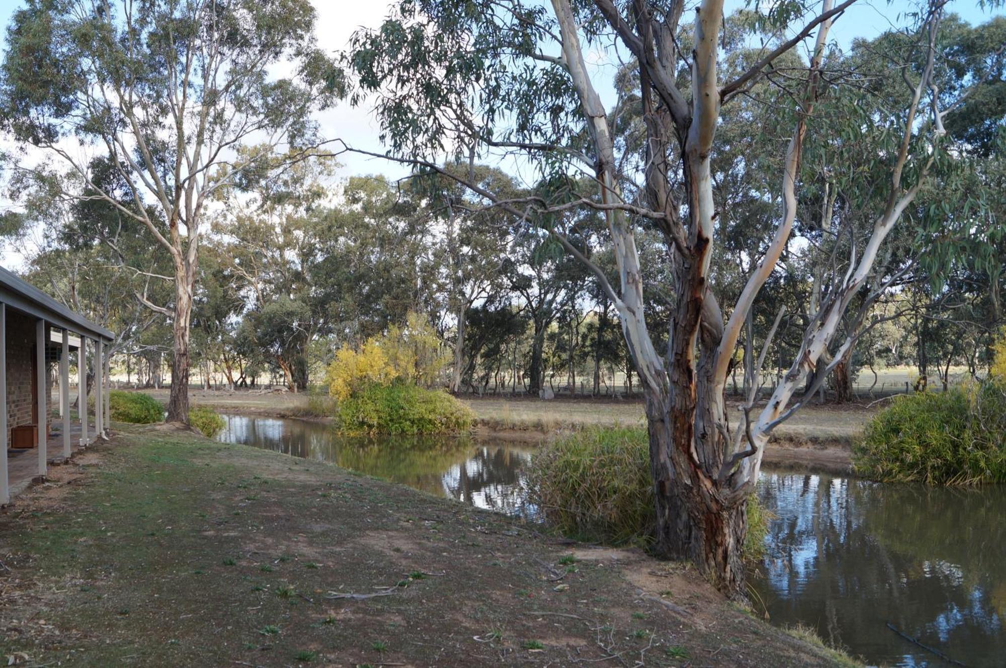 Magdala Motor Lodge&Lakeside Restaurant Stawell Ruang foto